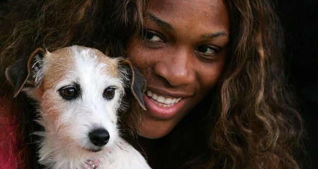 Serena Williams Galau...