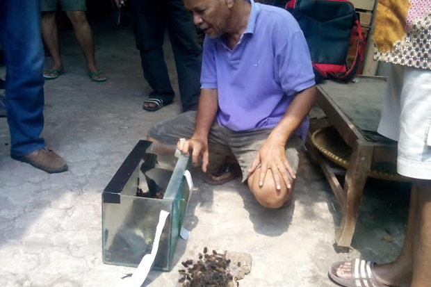 Sudah Disemprot, Ulat...