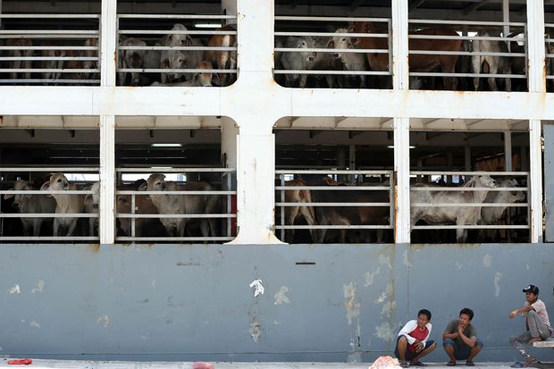 Jokowi Berharap Kapal...