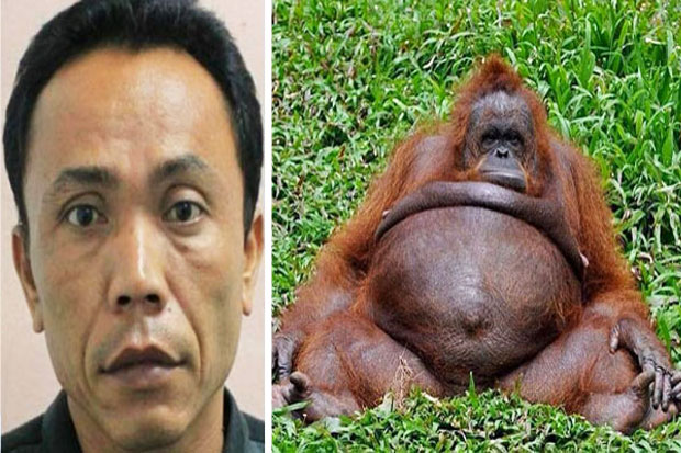Indonesia Zoo Keeper...