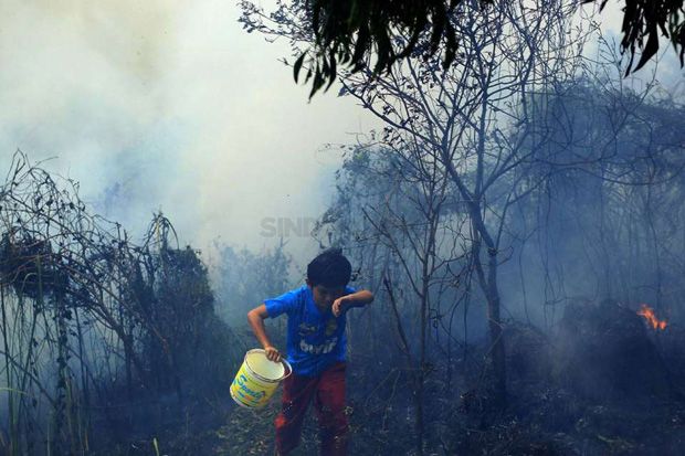 Kasus Kebakaran Hutan,...