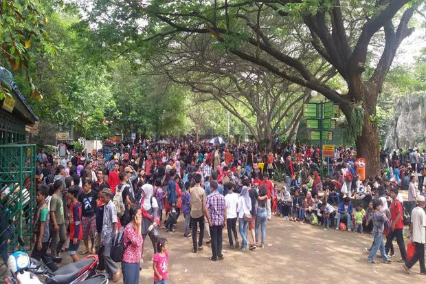 Jumlah Pengunjung Ragunan...