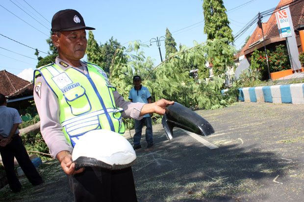 Tertimpa Pohon, Seorang...