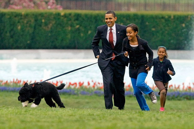 Anjing Kesayangan Obama...
