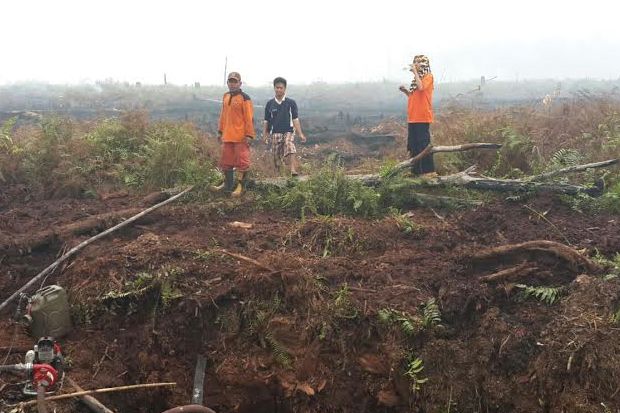 PDIP Ingin Bangun Kebun...