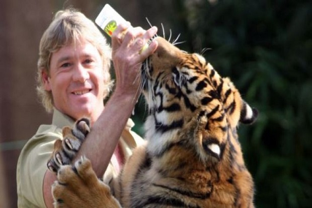 Harimau Sumatra di Bonbin...