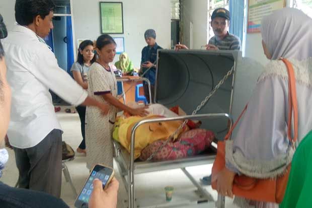 Demam Berdarah Renggut...