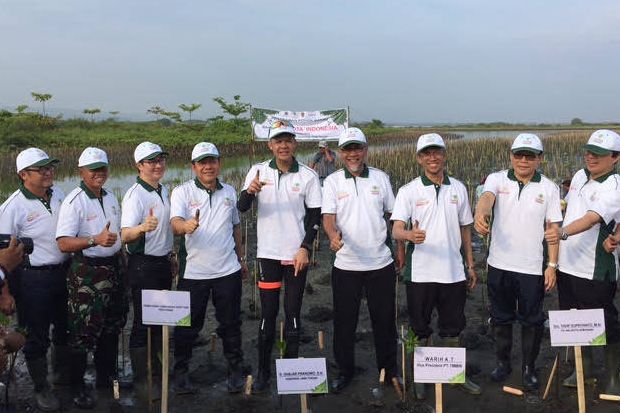 Toyota Hijaukan Pantai...