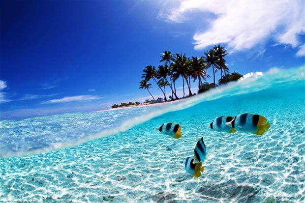 3 Destinasi Wisata agar...