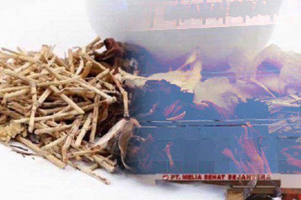 Bisnis Herbal Melia...