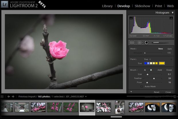 Adobe Lightroom 2.0...