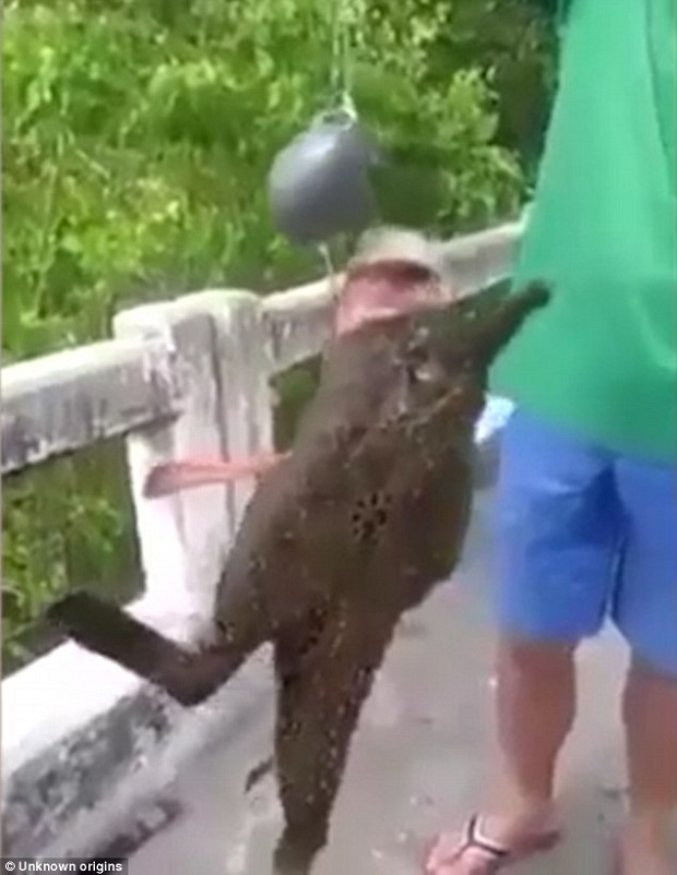 Nelayan Thailand Temukan...