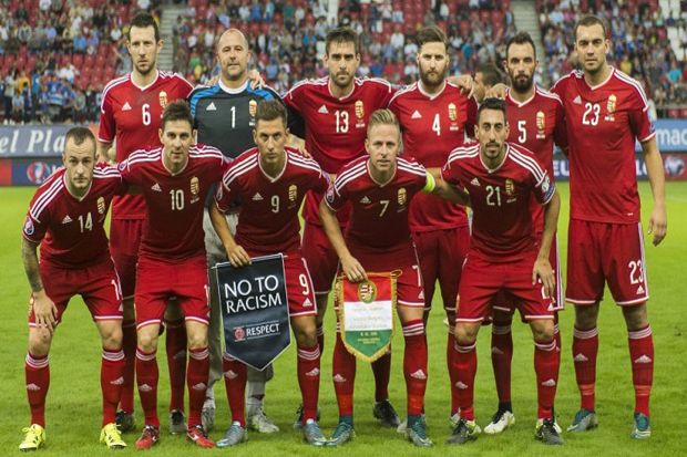 Grup F: Profil Timnas...