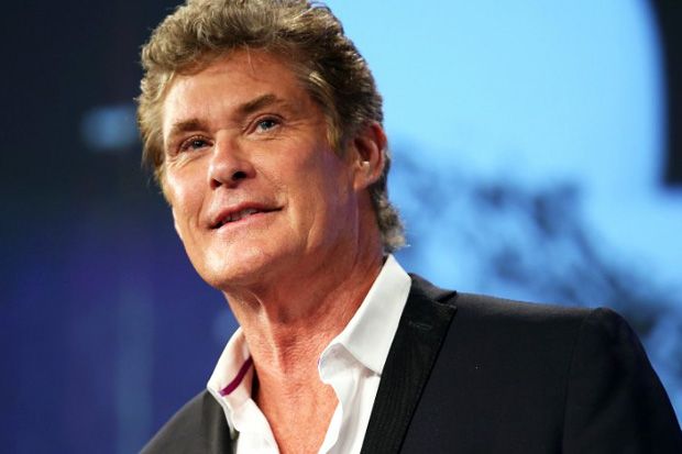 David Hasselhoff Bingung...