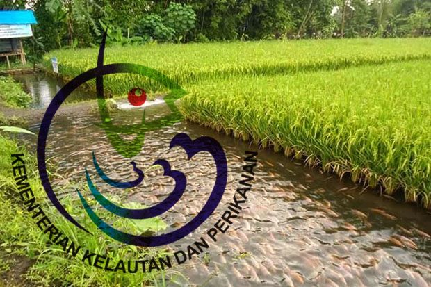 Kementerian KKP Dorong...