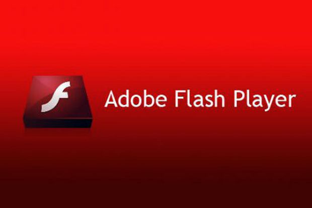 Adobe Update Sistem...