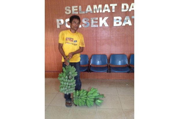 Curi Dua Tandan Pisang,...
