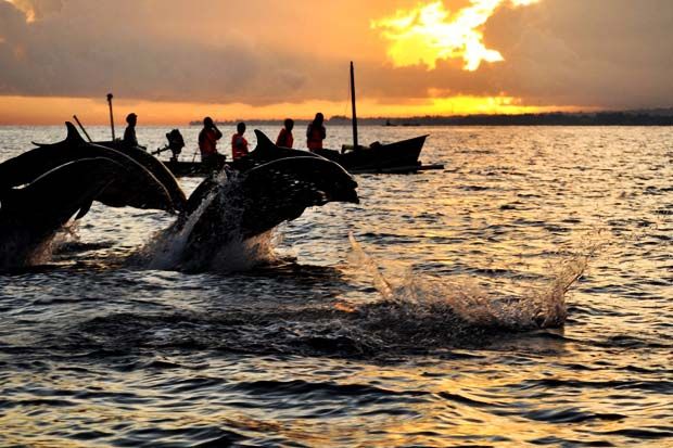 7 Wisata Non-Mainstream...