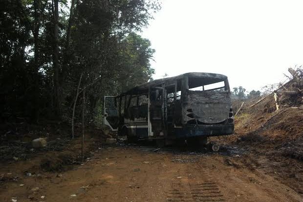 PT Rimba Lazuardi Diserang,...