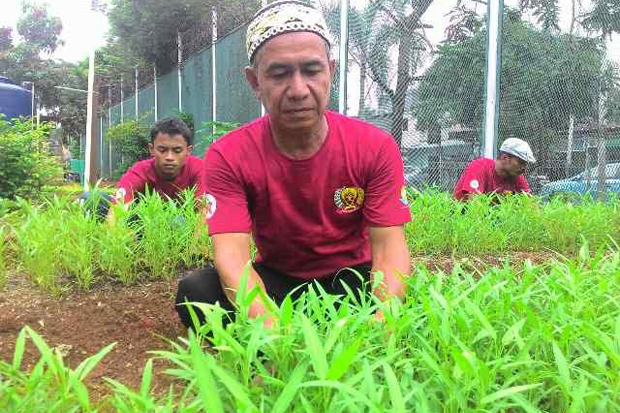 Ikut Pelatihan Bertani,...
