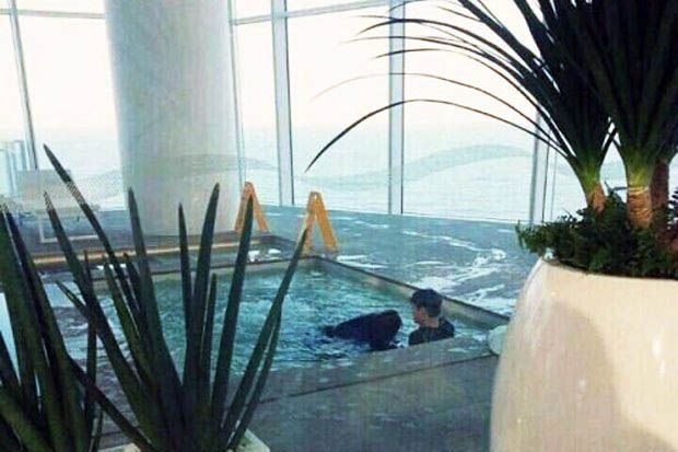 Foto Berendam di Kolam...