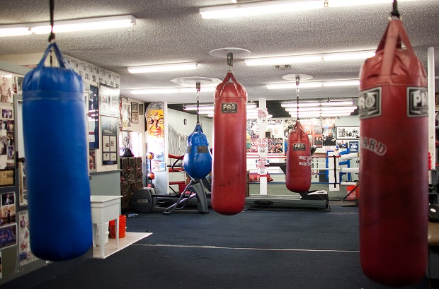 Freddie Roach Mencari...
