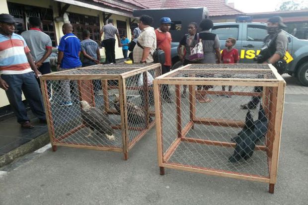 Polres Sorong Gagalkan...
