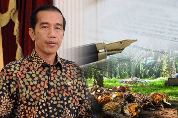 Terkait Moratorium Sawit,...