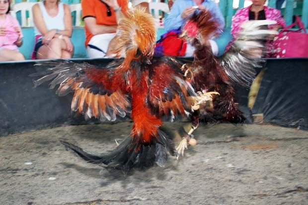 Kota di China ini Jadikan...