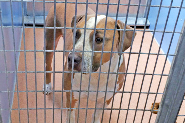 Ortu Asyik Nonton TV,...