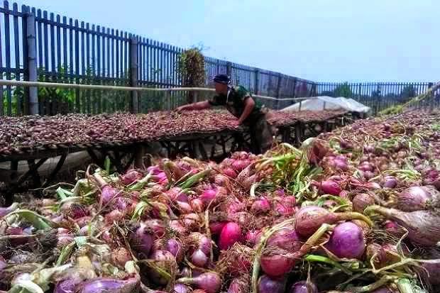 Mentan Klaim Harga Bawang...
