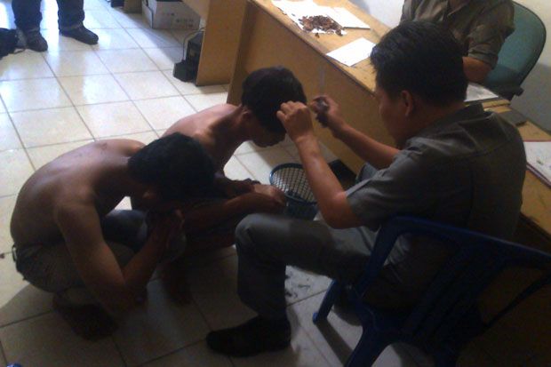 Gauli Gadis Belia, Dua...