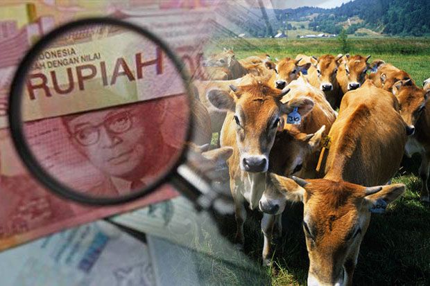 Perusahaan Asal Australia...