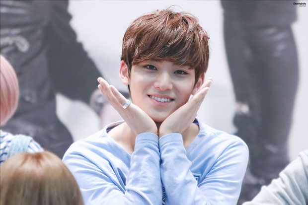 Duh, Mingyu Seventeen...