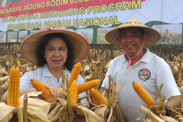 Japfa Beli Jagung Lokal...