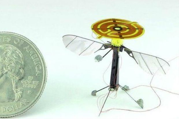 Robo-Bee, Drone Paling...