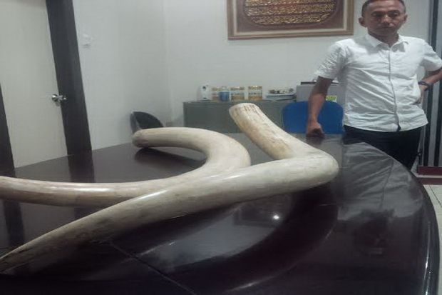 Polda Riau Tetapkan...