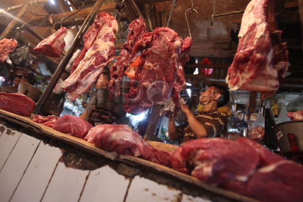 Harga Daging Ayam dan...