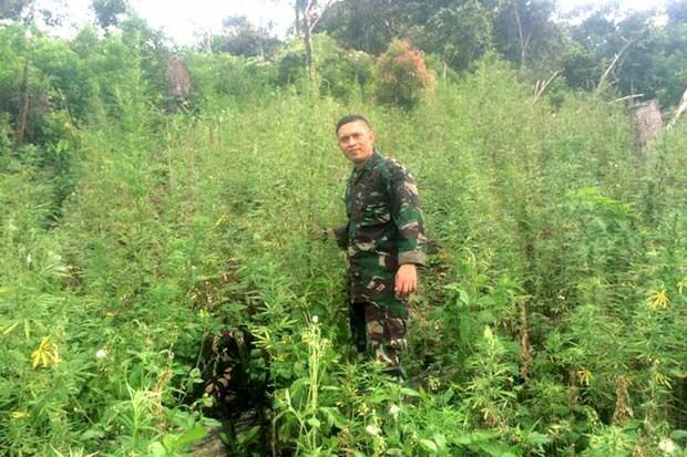 Latihan di Gunung, Pasukan...