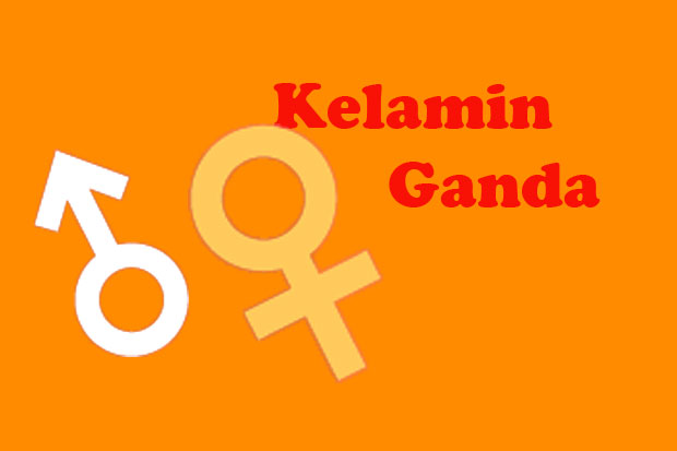 Miliki Kelamin Ganda,...
