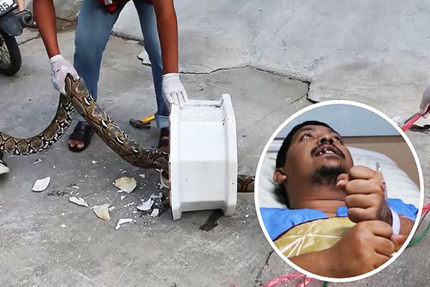 Thailand Man Penis Bites...