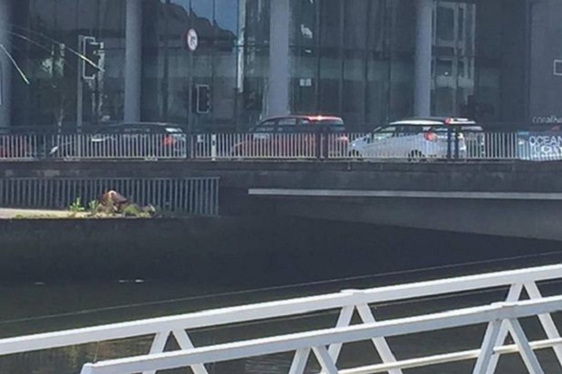 Pasangan di Irlandia...