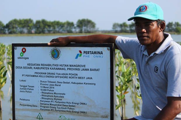 Lestarikan Hutan Mangrove,...
