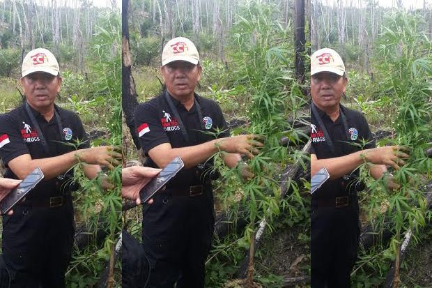 Polisi Temukan Ladang...