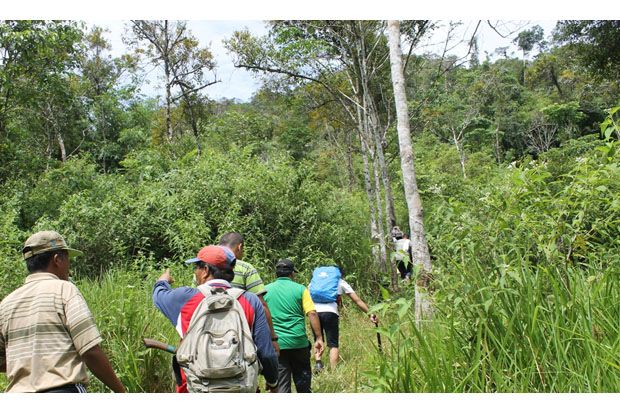 Bukit Lesa Pintu Masuk...