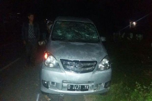 Nyeberang Jalan Mendadak,...