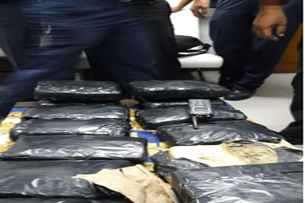 Selundupkan Ganja 14...