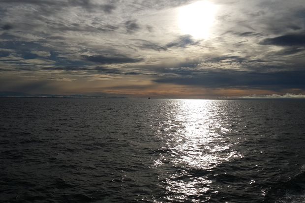Pulau Babo, Tempat Penyebaran...