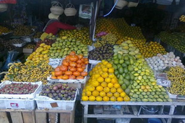 Komoditas Buah Lokal...