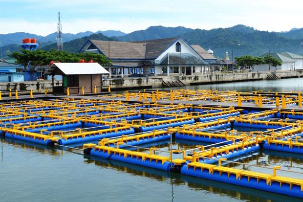 Penataan Danau Toba...